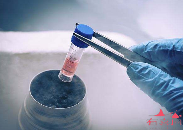 武汉供卵机构价格：冷冻胚胎可以用于第三代试管婴儿吗？