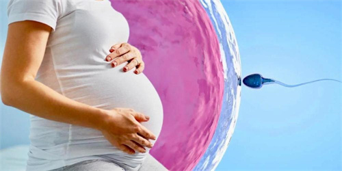 榆林借卵试管助孕生子流程：2023年吉林