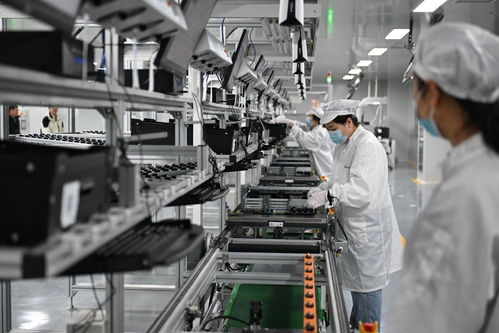 雄安新區(qū) 未來之城展新姿，綠化服務(wù)鑄就生態(tài)典范